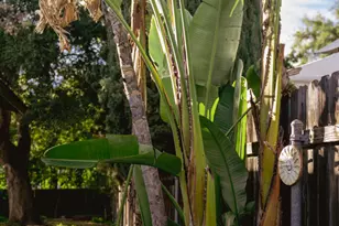 145 N Encinitas Ave, Monrovia, CA 91016 - Photo 20