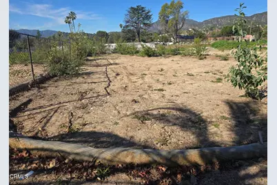 3241 N Olive Avenue, Altadena, CA 91001 - Photo 2