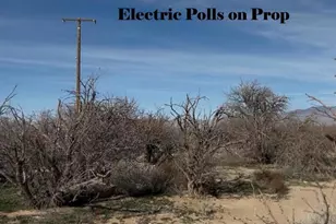 91525 Palm Rd, Baker, CA 92309 - Photo 10