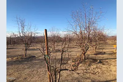 34738 Old Woman Springs Road, Lucerne Valley, CA 92356 - Photo 8