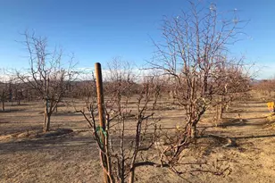34738 Old Woman Springs Rd, Lucerne Valley, CA 92356 - Photo 8