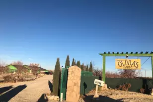 34738 Old Woman Springs Rd, Lucerne Valley, CA 92356 - Photo 6