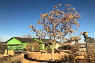 34738 Old Woman Springs Rd, Lucerne Valley, CA 92356 - Photo 10