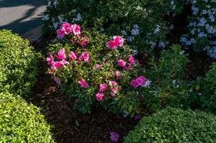 2042 Los Amigos St, La Canada Flintridge, CA 91011 - Photo 58