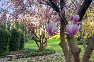 380 W Green St, Pasadena, CA 91105 - Photo 6