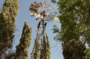 6900 Lurline Ave, Los Angeles, CA 91306 - Photo 38