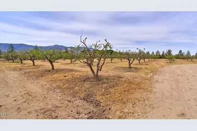 9494 Baker Road, Lucerne Valley, CA 92356 - Photo 46