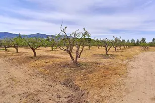 9494 Baker Rd, Lucerne Valley, CA 92356 - Photo 46