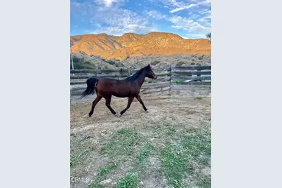 11461 Riverwood Drive, Sunland, CA 91040 - Photo 6