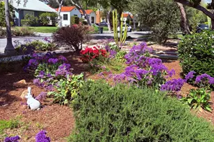 1000 Del Rey Ave, Pasadena, CA 91107 - Photo 22