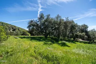 4700 Rising Hill Rd, Altadena, CA 91001 - Photo 8