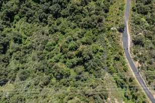 4700 Rising Hill Rd, Altadena, CA 91001 - Photo 38