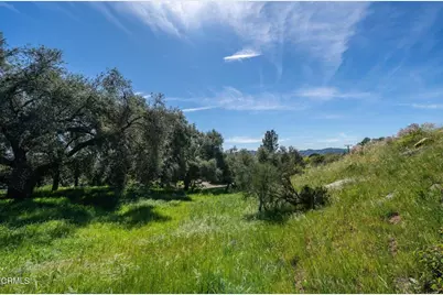 4700 Rising Hill Road, Altadena, CA 91001 - Photo 10