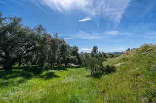 4700 Rising Hill Rd, Altadena, CA 91001 - Photo 10