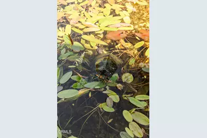 1300 Meadowbrook Road, Altadena, CA 91001 - Photo 40