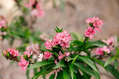 1504 Oneonta Knoll, South Pasadena, CA 91030 - Photo 64