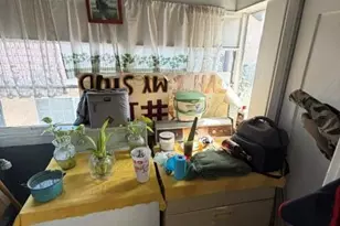 2829 Blanchard St, Los Angeles, CA 90033 - Photo 16
