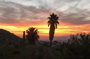 6220 Farrelo Rd, Yucca Valley, CA 92284 - Photo 60