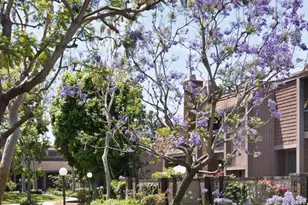 4616 Glencoe Ave, Marina del Rey, CA 90292 - Photo 24