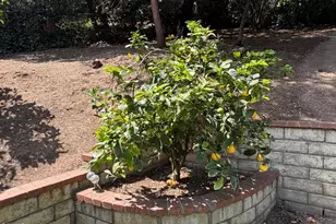 627 Linda Vista Ave, Pasadena, CA 91105 - Photo 32
