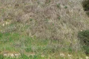 0 Loma Verde Mountainway, Val Verde, CA 91384 - Photo 1