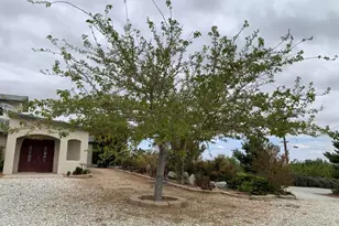 9020 Pionero Rd, Pinon Hills, CA 92372 - Photo 72