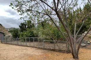 9020 Pionero Rd, Pinon Hills, CA 92372 - Photo 50