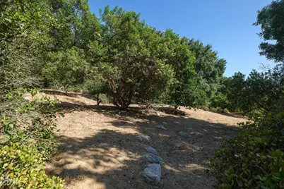 3273 New York Drive, Pasadena, CA  - Photo 8