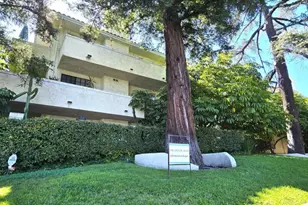 235 S Holliston Ave, Pasadena, CA 91106 - Photo 1