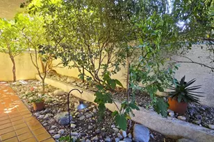 235 S Holliston Ave, Pasadena, CA 91106 - Photo 22