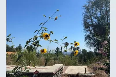 298 E Poppyfields Drive, Altadena, CA 91001 - Photo 8