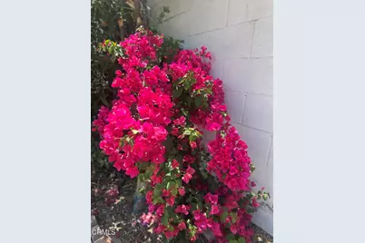 102 W Poppyfields Drive, Altadena, CA 91001 - Photo 2