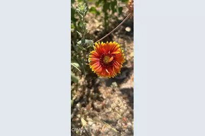 102 W Poppyfields Drive, Altadena, CA 91001 - Photo 4