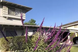 207 Genoa St, Arcadia, CA 91006 - Photo 2
