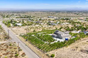 8671 Deer Haven Dr, Pinon Hills, CA 92372 - Photo 48