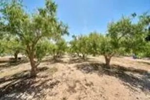 9975 Custer Ave, Lucerne Valley, CA 92356 - Photo 32