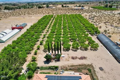 9975 Custer Avenue, Lucerne Valley, CA 92356 - Photo 2