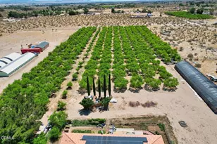 9975 Custer Ave, Lucerne Valley, CA 92356 - Photo 2