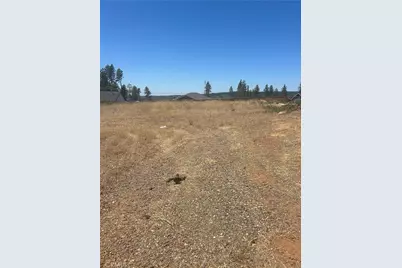 8675 Skyway, Paradise, CA 95969 - Photo 1