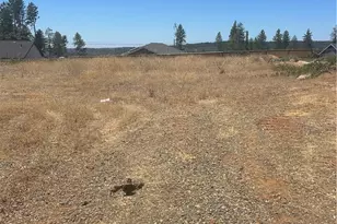 8675 Skyway, Paradise, CA 95969 - Photo 1