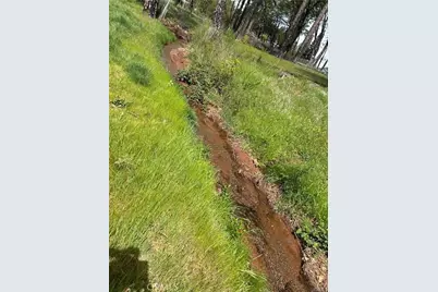 1616 Walnut Lane, Paradise, CA 95969 - Photo 2