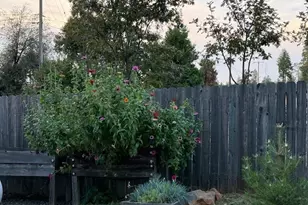 14182 Norwich Cir, Magalia, CA 95954 - Photo 20