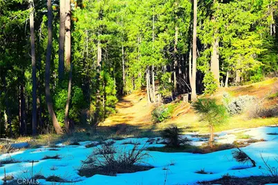 18286 Gaston Road, Nevada City, CA 95959 - Photo 50