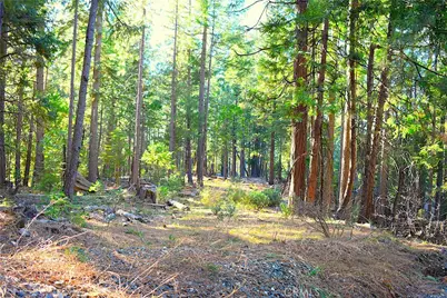 18286 Gaston Road, Nevada City, CA 95959 - Photo 44