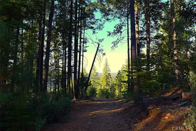 18286 Gaston Road, Nevada City, CA 95959 - Photo 46