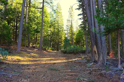 18286 Gaston Road, Nevada City, CA 95959 - Photo 58