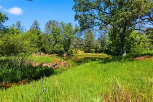 105 Swedes Flat Rd, Oroville, CA 95966 - Photo 30