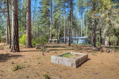 14565 Coutolenc Road, Magalia, CA 95954 - Photo 32