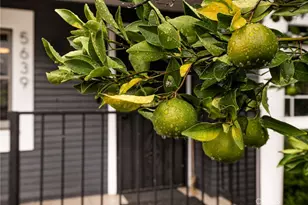 5639 Ash St, Los Angeles, CA 90042 - Photo 28