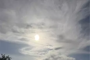 11 Wildflower, Pomona, CA 91766 - Photo 54